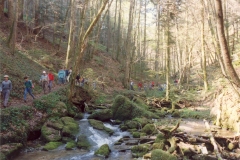 1990_61
