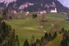 Pellegrinaggio 1991