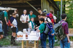 Pellegrinaggio 1991