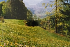 Pellegrinaggio 1991