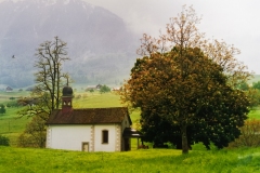 Pellegrinaggio 1991