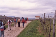 1992_51