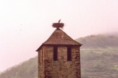 1992_69