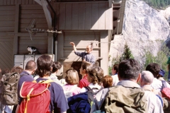 Pellegrinaggio Disentis 1993