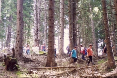Pellegrinaggio Disentis 1993