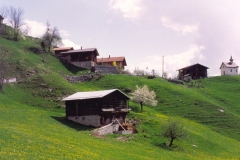 Pellegrinaggio Disentis 1993