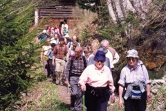 Pellegrinaggio Disentis 1993