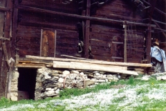 Pellegrinaggio Savoia 1995