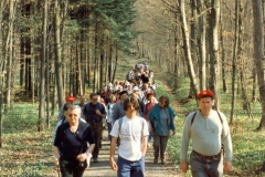 1996_3