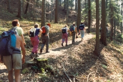 1996_79