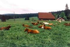 1999_76