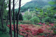 Pellegrinaggio Varallo 2000