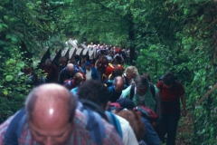 Pellegrinaggio Varallo 2000