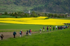 2010_83