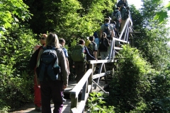 2011_12