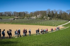 24_Aesch