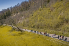 89_Arlesheim